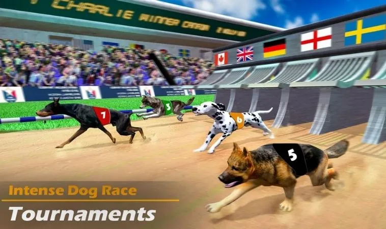 Tham Gia Cách Chơi Game Nhanh Đua Chó Tại HB88 Thắng Lớn 2 Giao diện chơi game nhanh Đua Chó tại HB88
