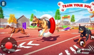 Đua Chó tại HB88